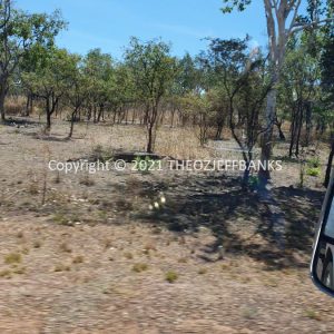ROzCh16-45 | Travelling Around Australia with Jeff Banks