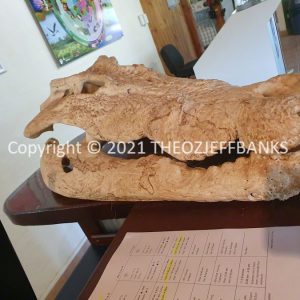 ROzCh17-04