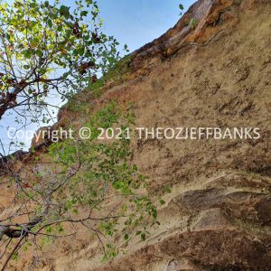 ROzCh18-167 | Travelling Around Australia with Jeff Banks