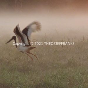 ROzCh18-19
