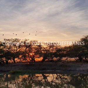 ROzCh18-35S | Travelling Around Australia with Jeff Banks