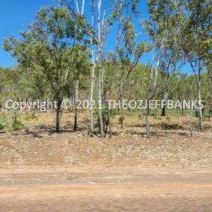 ROzCh20-68 | Travelling Around Australia with Jeff Banks