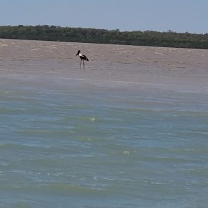 ROzCh23-34 | Travelling Around Australia with Jeff Banks