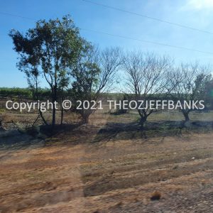 ROzCh24-01 | Travelling Around Australia with Jeff Banks