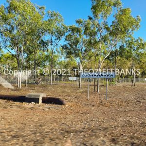 ROzCh24-120 | Travelling Around Australia with Jeff Banks
