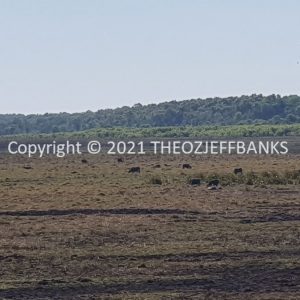 ROzCh24-25 | Travelling Around Australia with Jeff Banks