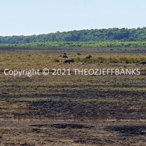 ROzCh24-35 | Travelling Around Australia with Jeff Banks
