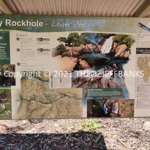 ROzCh25-24