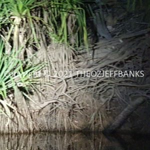 ROzCh26-298 | Travelling Around Australia with Jeff Banks