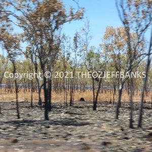 ROzCh26-30 | Travelling Around Australia with Jeff Banks