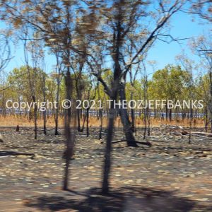 ROzCh26-31 | Travelling Around Australia with Jeff Banks