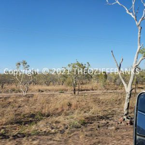 ROzCh26-336 | Travelling Around Australia with Jeff Banks