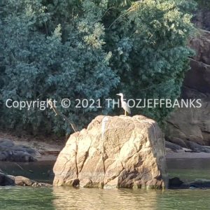 ROzCh26-63 | Travelling Around Australia with Jeff Banks