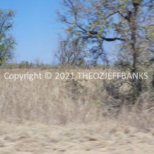 ROzCh27-119 | Travelling Around Australia with Jeff Banks
