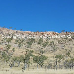 ROzCh27-127 | Travelling Around Australia with Jeff Banks