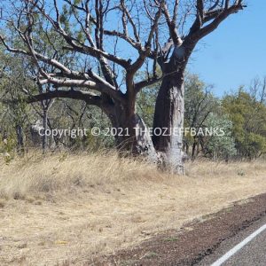 ROzCh27-182 | Travelling Around Australia with Jeff Banks