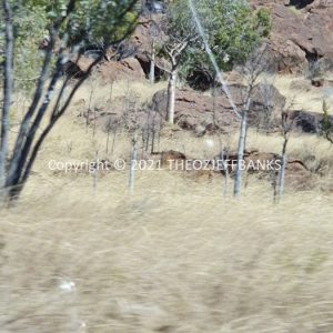 ROzCh27-184 | Travelling Around Australia with Jeff Banks