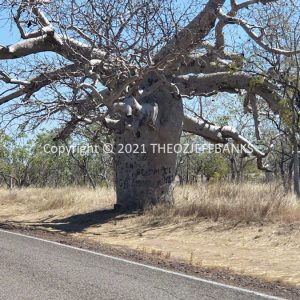 ROzCh27-187 | Travelling Around Australia with Jeff Banks