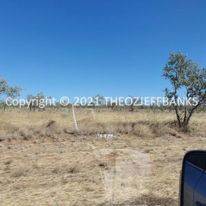 ROzCh27-191 | Travelling Around Australia with Jeff Banks