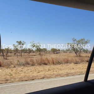 ROzCh27-195 | Travelling Around Australia with Jeff Banks