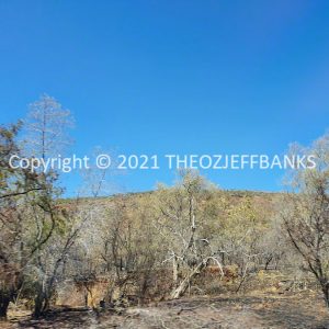 ROzCh27-40 | Travelling Around Australia with Jeff Banks