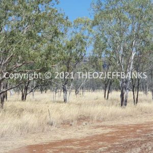 ROzCh27-52 | Travelling Around Australia with Jeff Banks