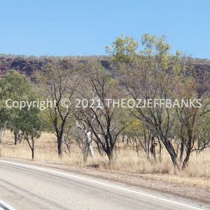 ROzCh27-76 | Travelling Around Australia with Jeff Banks