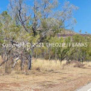 ROzCh27-92 | Travelling Around Australia with Jeff Banks
