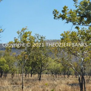 ROzCh27-96 | Travelling Around Australia with Jeff Banks