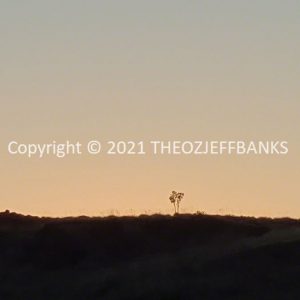ROzCh29-13 | Travelling Around Australia with Jeff Banks