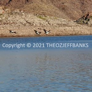 ROzCh30-58 | Travelling Around Australia with Jeff Banks