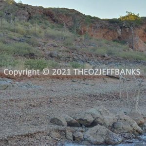 ROzCh30-78 | Travelling Around Australia with Jeff Banks