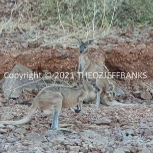 ROzCh30-86 | Travelling Around Australia with Jeff Banks