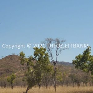 ROzCh32-08 | Travelling Around Australia with Jeff Banks