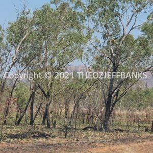 ROzCh32-26 | Travelling Around Australia with Jeff Banks