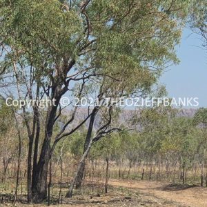 ROzCh32-27 | Travelling Around Australia with Jeff Banks