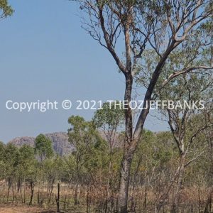 ROzCh32-28 | Travelling Around Australia with Jeff Banks