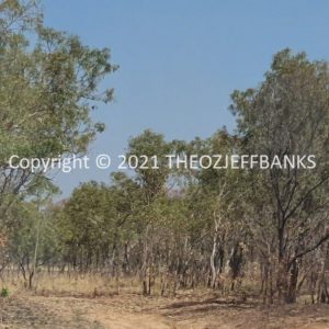 ROzCh32-30 | Travelling Around Australia with Jeff Banks
