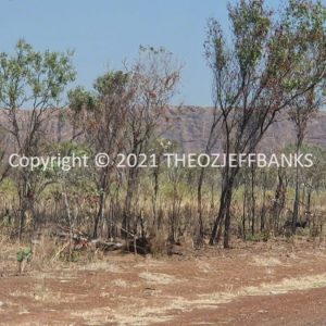 ROzCh32-34 | Travelling Around Australia with Jeff Banks