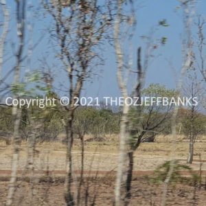 ROzCh32-36 | Travelling Around Australia with Jeff Banks