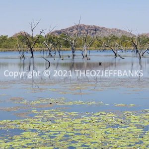 ROzCh32-46 | Travelling Around Australia with Jeff Banks