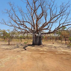 ROzCh33-18C | Travelling Around Australia with Jeff Banks
