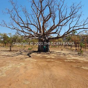 ROzCh33-20C | Travelling Around Australia with Jeff Banks