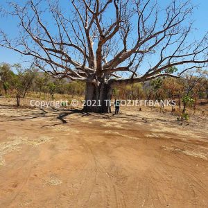 ROzCh33-21C | Travelling Around Australia with Jeff Banks