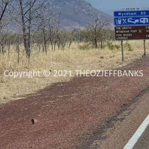 ROzCh34-32 | Travelling Around Australia with Jeff Banks