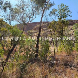 ROzCh35-08 | Travelling Around Australia with Jeff Banks