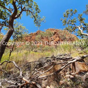 ROzCh35-109 | Travelling Around Australia with Jeff Banks