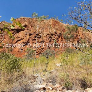 ROzCh35-117 | Travelling Around Australia with Jeff Banks