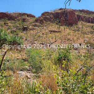 ROzCh35-72 | Travelling Around Australia with Jeff Banks