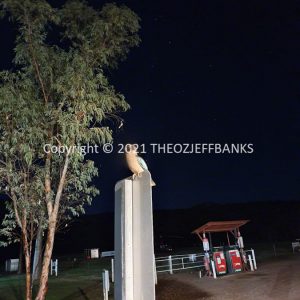 ROzCh37-91 | Travelling Around Australia with Jeff Banks
